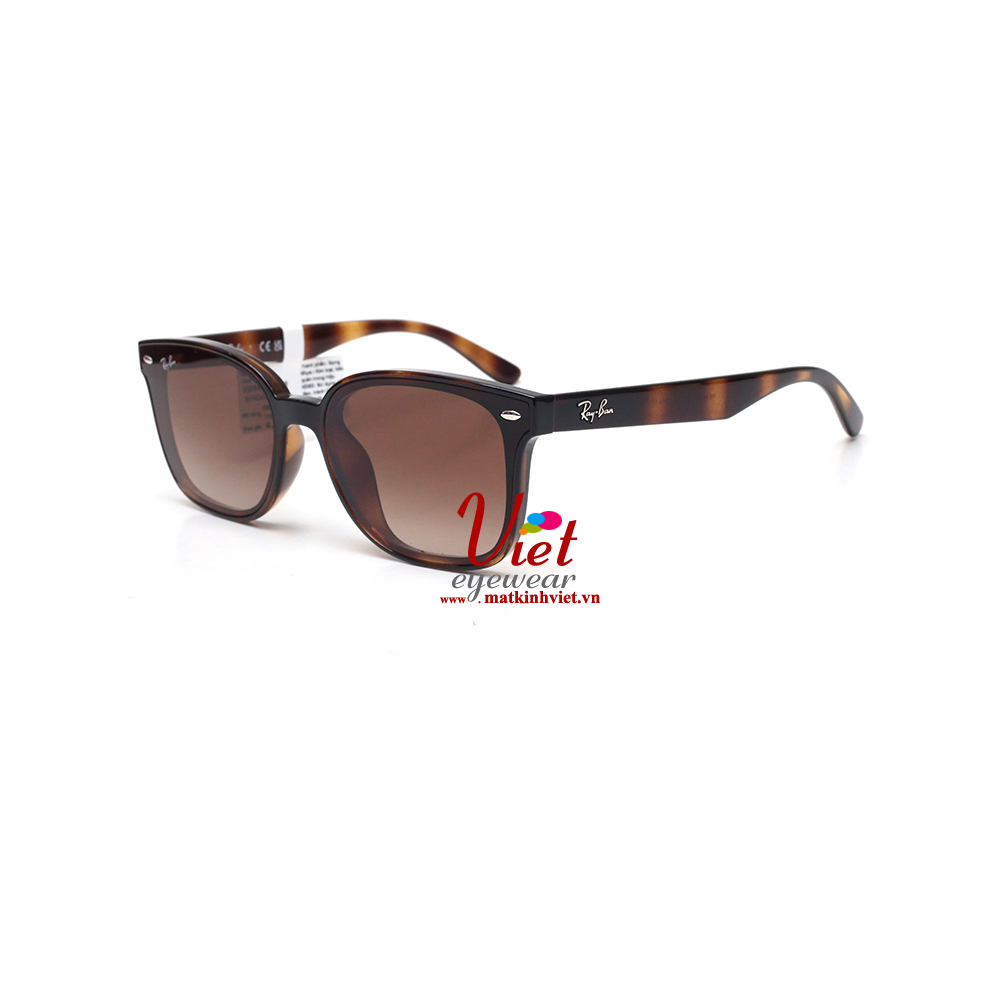 Kính mát RayBan RB4461D  710/13